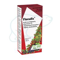 DIETPHARM - Floradix